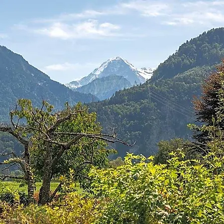 Salzano Basic Hotell Interlaken